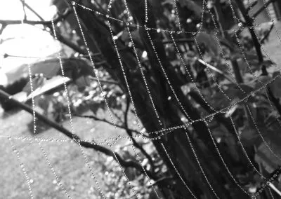 Printcouture_black White_027