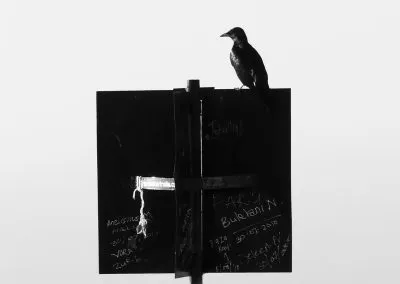 Printcouture_black White_028