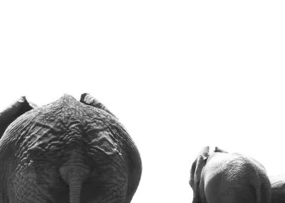 Printcouture_blackwhite_008