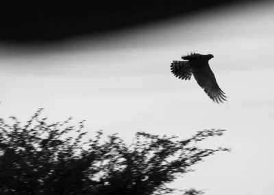 Printcouture_blackwhite_016