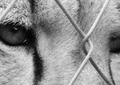 Printcouture_blackwhite_027