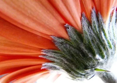 Printcouture_photography_005