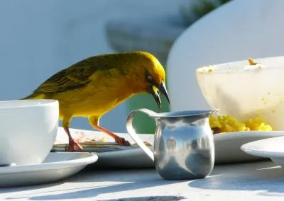 Printcouture_photography_027