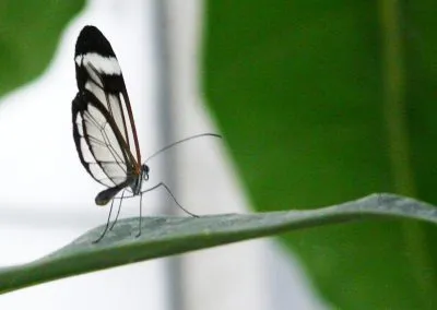 Printcouture_photography_036