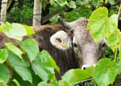 Printcouture_photography_037