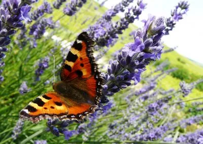 Printcouture_photography_038