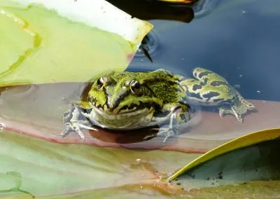 Printcouture_photography_039