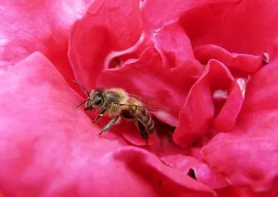 Printcouture_photography_043