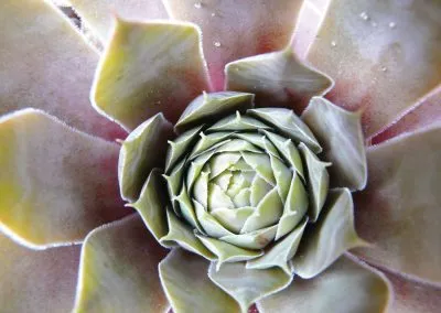 Printcouture_photography_045