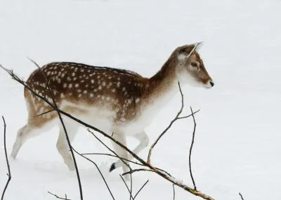 Printcouture_photography_046