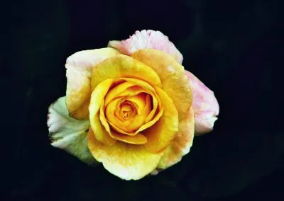 Printcouture_photography_055