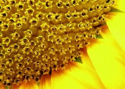 Printcouture_photography_057